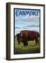 Canmore, Alberta, Canada - Solo Bison-Lantern Press-Framed Art Print