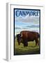 Canmore, Alberta, Canada - Solo Bison-Lantern Press-Framed Art Print