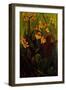 Canna Lily-jocasta shakespeare-Framed Giclee Print