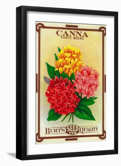 Canna Seed Packet-Lantern Press-Framed Art Print