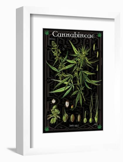 Cannabineae I-null-Framed Art Print