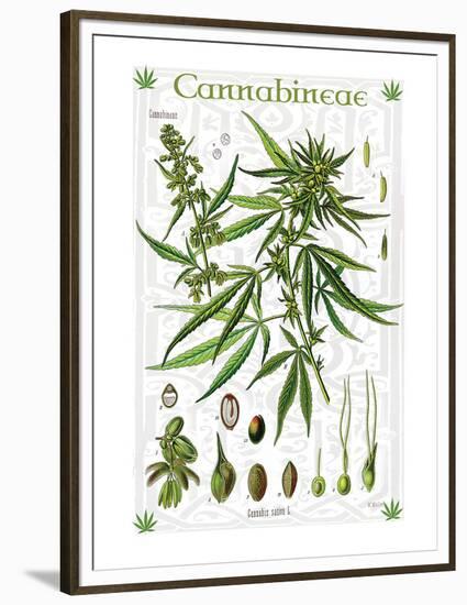 Cannabineae II-null-Framed Premium Giclee Print