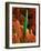 Cannabis Leaf, SEM-David McCarthy-Framed Photographic Print