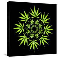 Cannabis Leaves-David Nicholls-Stretched Canvas