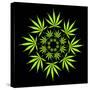 Cannabis Leaves-David Nicholls-Stretched Canvas