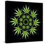 Cannabis Leaves-David Nicholls-Stretched Canvas