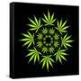 Cannabis Leaves-David Nicholls-Framed Stretched Canvas