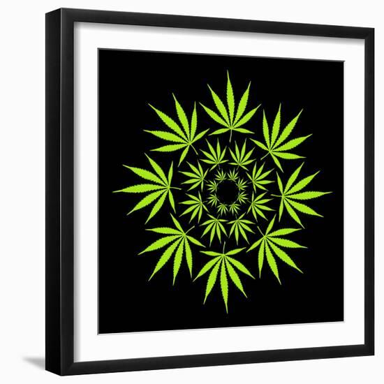 Cannabis Leaves-David Nicholls-Framed Premium Photographic Print