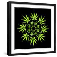 Cannabis Leaves-David Nicholls-Framed Premium Photographic Print