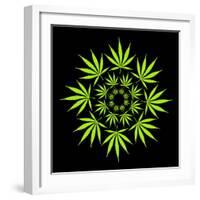 Cannabis Leaves-David Nicholls-Framed Premium Photographic Print