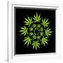 Cannabis Leaves-David Nicholls-Framed Photographic Print