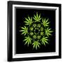 Cannabis Leaves-David Nicholls-Framed Photographic Print