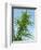 Cannabis Plant, from Below, Blue Sky-Harald Kroiss-Framed Photographic Print