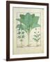 Cannabis-Robinet Testard-Framed Giclee Print