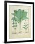 Cannabis-Robinet Testard-Framed Giclee Print