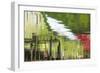 Cannery Reflections I-Kathy Mahan-Framed Photographic Print