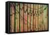 Cannery Wall-Kathy Mahan-Framed Stretched Canvas