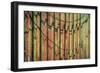 Cannery Wall-Kathy Mahan-Framed Photographic Print