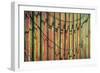 Cannery Wall-Kathy Mahan-Framed Photographic Print