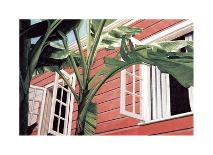 Tropical Breeze-Canning John-Framed Giclee Print