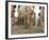 Cannobio, Lago Maggiore, Piedmont, Italy-Demetrio Carrasco-Framed Photographic Print