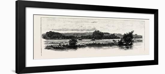 Cannock Chase-null-Framed Giclee Print