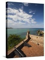 Cannon at Fuerte De San Felipe Fort, Puerto Plata, North Coast, Dominican Republic-Walter Bibikow-Stretched Canvas