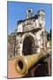 Cannon at Porta De Santiago-Nico Tondini-Mounted Premium Photographic Print