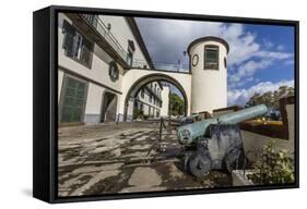 Cannon at the Palacio De Sao Lourenco in the Heart of the City of Funchal, Madeira, Europe-Michael Nolan-Framed Stretched Canvas