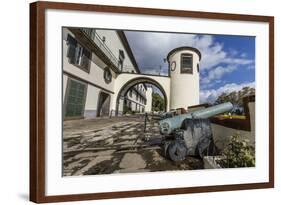 Cannon at the Palacio De Sao Lourenco in the Heart of the City of Funchal, Madeira, Europe-Michael Nolan-Framed Photographic Print