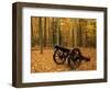 Cannon at Yorktown, Colonial National Historical Park, Virginia, USA-Charles Gurche-Framed Photographic Print