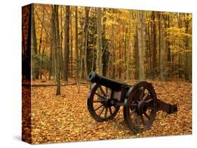 Cannon at Yorktown, Colonial National Historical Park, Virginia, USA-Charles Gurche-Stretched Canvas