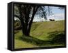 Cannon Atop a Redoubt at Yorktown Battlefield, Virginia-null-Framed Stretched Canvas