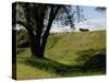 Cannon Atop a Redoubt at Yorktown Battlefield, Virginia-null-Stretched Canvas