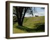 Cannon Atop a Redoubt at Yorktown Battlefield, Virginia-null-Framed Photographic Print