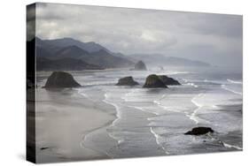 Cannon Beach and Haystack Rock, Crescent Beach, Ecola State Park, Oregon, USA-Jamie & Judy Wild-Stretched Canvas