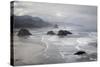 Cannon Beach and Haystack Rock, Crescent Beach, Ecola State Park, Oregon, USA-Jamie & Judy Wild-Stretched Canvas