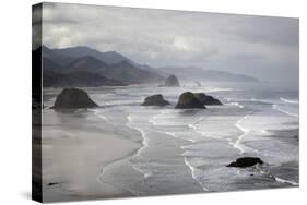 Cannon Beach and Haystack Rock, Crescent Beach, Ecola State Park, Oregon, USA-Jamie & Judy Wild-Stretched Canvas