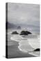 Cannon Beach and Haystack Rock, Crescent Beach, Ecola State Park, Oregon, USA-Jamie & Judy Wild-Stretched Canvas