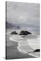 Cannon Beach and Haystack Rock, Crescent Beach, Ecola State Park, Oregon, USA-Jamie & Judy Wild-Stretched Canvas