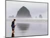 Cannon Beach and Haystack Rock, Oregon Coast, USA-Janis Miglavs-Mounted Photographic Print