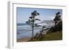 Cannon Beach and Haystack Rock, Oregon, USA-Jamie & Judy Wild-Framed Photographic Print