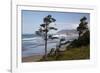 Cannon Beach and Haystack Rock, Oregon, USA-Jamie & Judy Wild-Framed Photographic Print