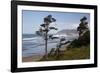 Cannon Beach and Haystack Rock, Oregon, USA-Jamie & Judy Wild-Framed Photographic Print