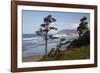 Cannon Beach and Haystack Rock, Oregon, USA-Jamie & Judy Wild-Framed Photographic Print