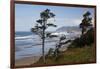 Cannon Beach and Haystack Rock, Oregon, USA-Jamie & Judy Wild-Framed Photographic Print
