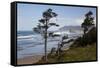 Cannon Beach and Haystack Rock, Oregon, USA-Jamie & Judy Wild-Framed Stretched Canvas