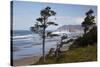 Cannon Beach and Haystack Rock, Oregon, USA-Jamie & Judy Wild-Stretched Canvas