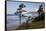 Cannon Beach and Haystack Rock, Oregon, USA-Jamie & Judy Wild-Framed Stretched Canvas