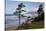 Cannon Beach and Haystack Rock, Oregon, USA-Jamie & Judy Wild-Stretched Canvas